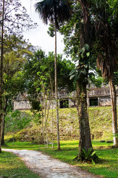 Pirâmides Maias Tikal Região Peten Guatemala América Central — Fotografia de Stock