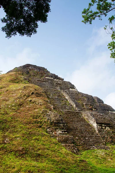 Маянські Піраміди Тікалі Пітенському Регіоні Гватемалі Центральній Америці — стокове фото