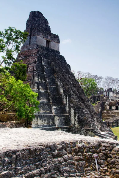 Piramidi Maya Tikal Regione Peten Guatemala America Centrale — Foto Stock