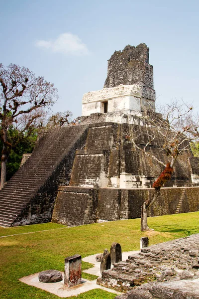 Tikal Peten Bölgesi Guatemala Orta Amerika Daki Maya Piramitleri — Stok fotoğraf