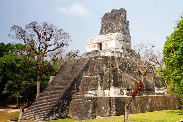 Tikal Peten Bölgesi Guatemala Orta Amerika Daki Maya Piramitleri — Stok fotoğraf
