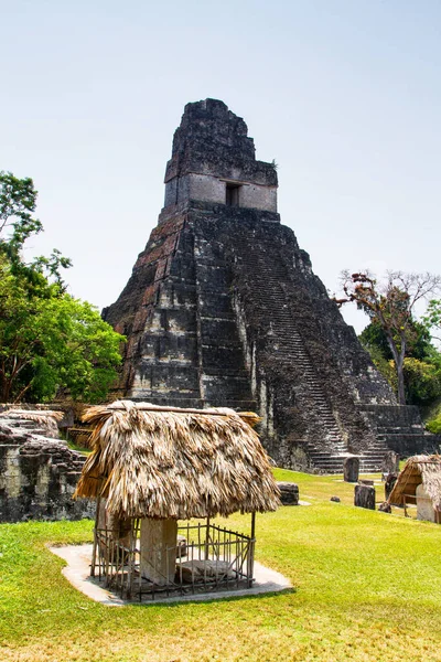 Maja Piramisok Tikalban Peten Régióban Guatemalában Közép Amerikában — Stock Fotó