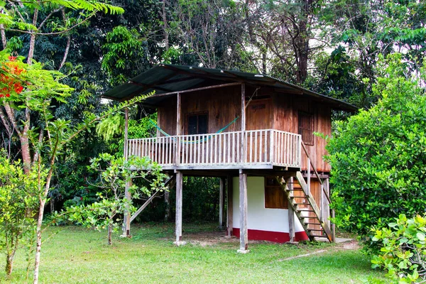 Casa Sobre Pilotes Casa Árbol Guatemala América Central — Foto de Stock