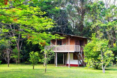 Ayaklıklarda ev (ağaç ev), Guatemala, Orta Amerika