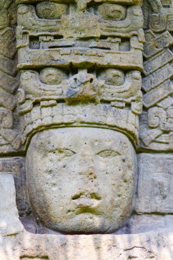 Quirigua arkeolojik alanı, Guatemala, Orta Amerika 'daki Stelae' de Maya hiyeroglifleri ve yüzleri var.