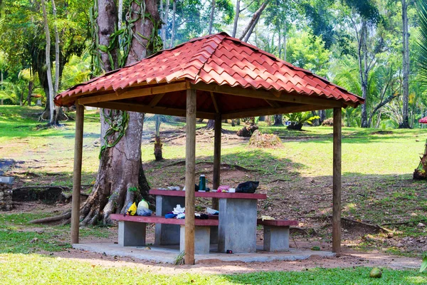 Arbour Rio Dulce Guatemala Orta Amerika — Stok fotoğraf