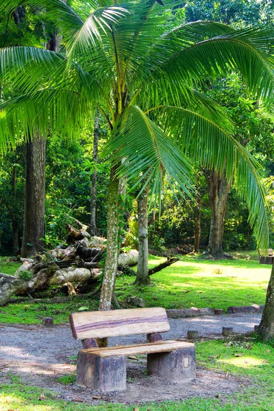 Bench Het Park Quirigua Guatemala Midden Amerika — Stockfoto