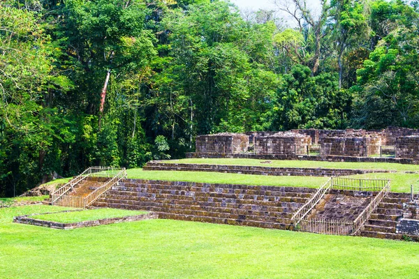 Acropolis Balveld Quirigua Gutemala Latijns Amerika — Stockfoto