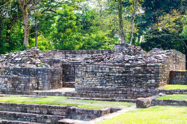 Quirigua Daki Akropolis Top Sahası Gutemala Latin Amerika — Stok fotoğraf