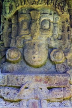 Quirigua arkeolojik alanı, Guatemala, Orta Amerika 'daki Stelae' de Maya hiyeroglifleri ve yüzleri var.