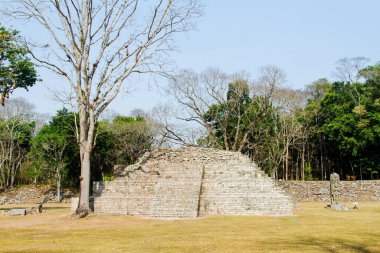 Arkeolojik bölgede Copan Ruinas, Honduras, Orta Amerika