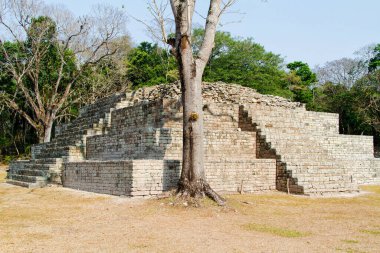Arkeolojik bölgede Copan Ruinas, Honduras, Orta Amerika