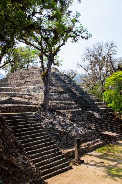 Arkeolojik bölgede Copan Ruinas, Honduras, Orta Amerika