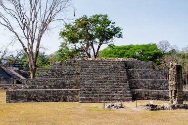 Arkeolojik bölgede Copan Ruinas, Honduras, Orta Amerika
