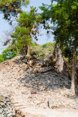 Copan, Honduras, Orta Amerika 'da Paved yolu