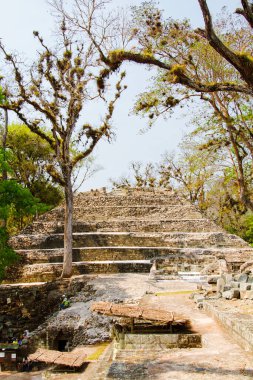 Arkeolojik bölgede Copan Ruinas, Honduras, Orta Amerika