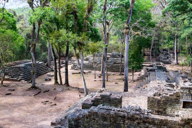 Arkeolojik bölgede Copan Ruinas, Honduras, Orta Amerika