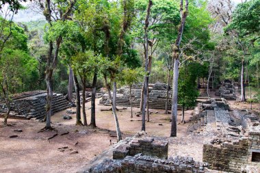 Arkeolojik bölgede Copan Ruinas, Honduras, Orta Amerika