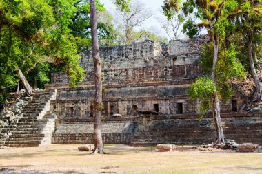 Arkeolojik bölgede Copan Ruinas, Honduras, Orta Amerika