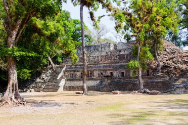 Arkeolojik bölgede Copan Ruinas, Honduras, Orta Amerika