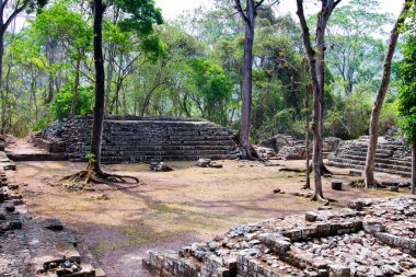 Arkeolojik bölgede Copan Ruinas, Honduras, Orta Amerika