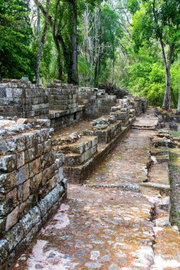 Arkeolojik bölgede Copan Ruinas, Honduras, Orta Amerika