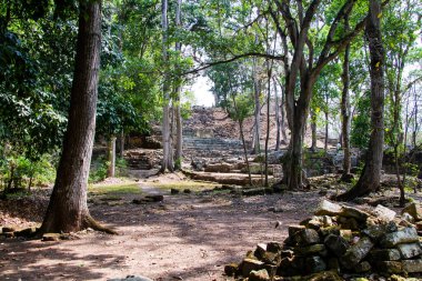 Arkeolojik bölgede Copan Ruinas, Honduras, Orta Amerika