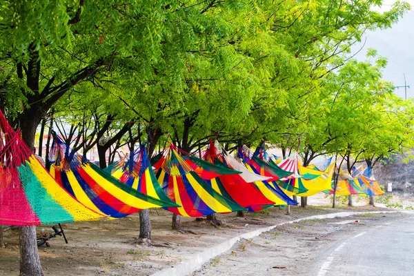 危地马拉的道路两旁的树间伸展着色彩斑斓的吊床 全部出售 — 图库照片