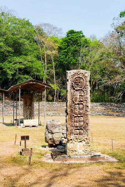 Mayan Stela Copan Ruins Honduras Central America — Stock Photo, Image