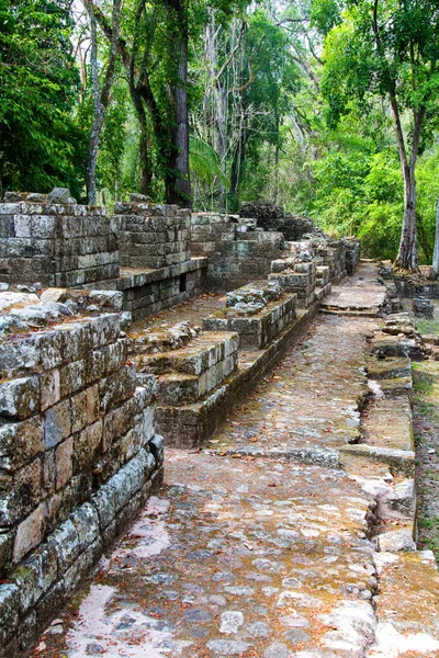 Ruínas Cobre Sítio Arqueológico Copan Ruinas Honduras América Central — Fotografia de Stock