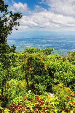 El Salvador 'da. Restoran bahçesinden görüntü.