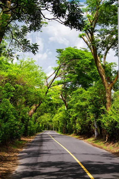 Vägen Genom Jordbruksmark Och Skog Guatemala Centralamerika — Stockfoto