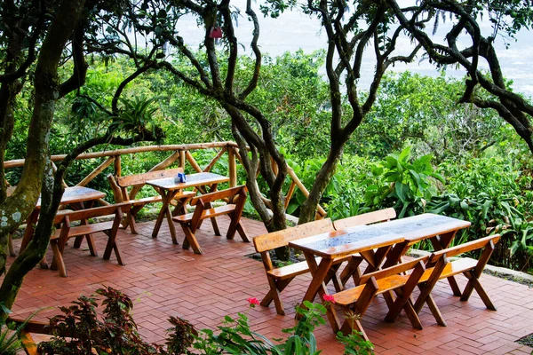 Salvador Blick Aus Dem Restaurantgarten — Stockfoto