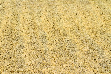 Arka plan dokusu ya da kavrulup öğütülecek taze kuru kahve çekirdekleri filtre ve espresso kahve yapımında kullanılacak.