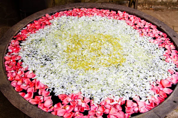 Διακόσμηση Λουλουδιών Πέταλα Κεντρική Αμερική — Φωτογραφία Αρχείου