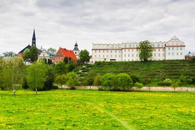 Wisla nehrinden Sandomierz Panoraması. Collegium Gostomianum, Jan Dlugosz 'un evi ve katedral bazilikası. Sandomierz, Polonya