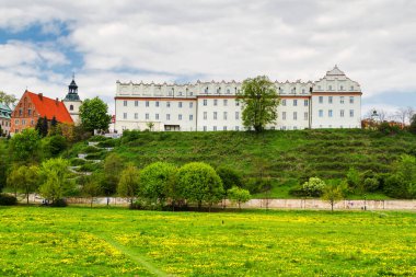Wisla nehrinden Sandomierz Panoraması. Collegium Gostomianum, Jan Dlugosz 'un evi ve katedral bazilikası. Sandomierz, Polonya
