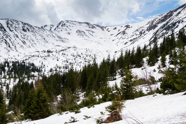 Yüksek Tatra Dağları Ulusal Parkı Nın Kış Manzarası Bir Bahar — Stok fotoğraf