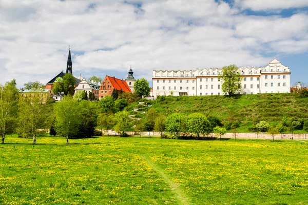 Sandomierz Panorámája Wisla Folyóról Collegium Gostomianum Jan Dlugosz Ház Katedrális — Stock Fotó