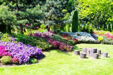 BIELSKO BIALA, POLAND - 16 Mayıs 2015 'te Polonya' nın Bielsko Biala kentinde açelya, rhododendronlar ve eski ahşap ile iyi korunan bahçe.
