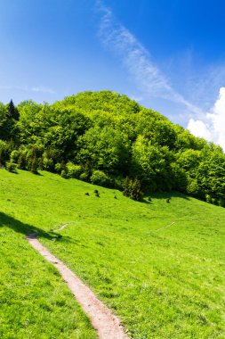 Wysoka - Pieniny dağlarının en yüksek zirvesi, Polonya. Kırsal yürüyüş yolu.