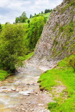 Biala Woda Reserve, Pieniny, Polonya 'da. Homole Ravine 'in yanındaki bir başka popüler turizm merkezi..