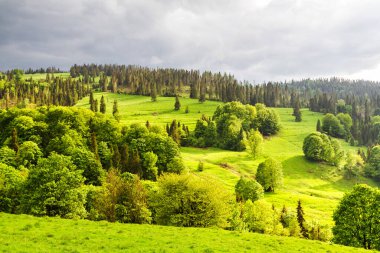 İlkbaharda yağmurdan sonra güzel bir dağ manzarası. Pieniny Dağları, Polonya