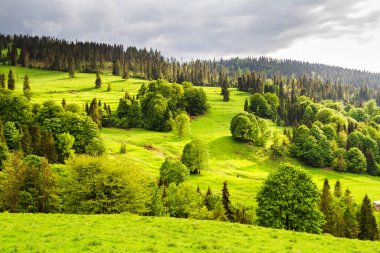 İlkbaharda yağmurdan sonra güzel bir dağ manzarası. Pieniny Dağları, Polonya