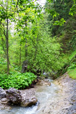 Pieniny dağlarındaki Homole Geçidi, Polonya