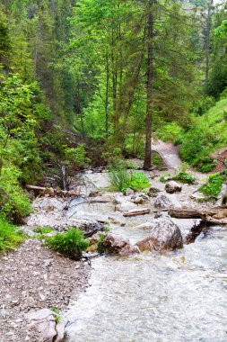 Pieniny dağlarındaki Homole Geçidi, Polonya
