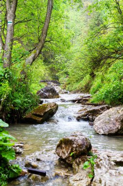 Pieniny dağlarındaki Homole Geçidi, Polonya