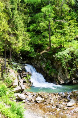 Pieniny dağlarında şelale, Polonya