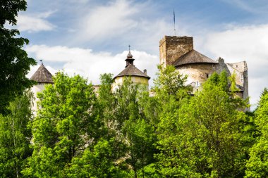 Ortaçağ kalesi manzaralı güneşli bir gün, Niedzica, Pieniny Dağları, Polonya