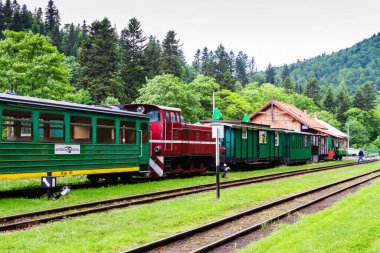 BİESZCZADY, POLAND - 3 HAZİRAN Dar göstergeli demiryolu, buhar treni. 3 Haziran 2015 'te Polonya' nın Bieszczady dağlarındaki Cisna 'dan Przysup' a turist treni kalkıyor..